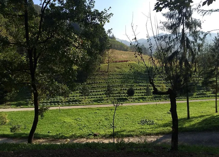 Casa Di Otello * Monte San Giovanni (Bologna)